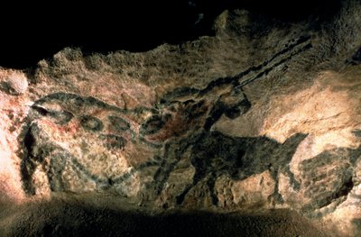 Felsmalerei eines gehörnten Tieres, ca. 17000 v. Chr. von Prehistoric